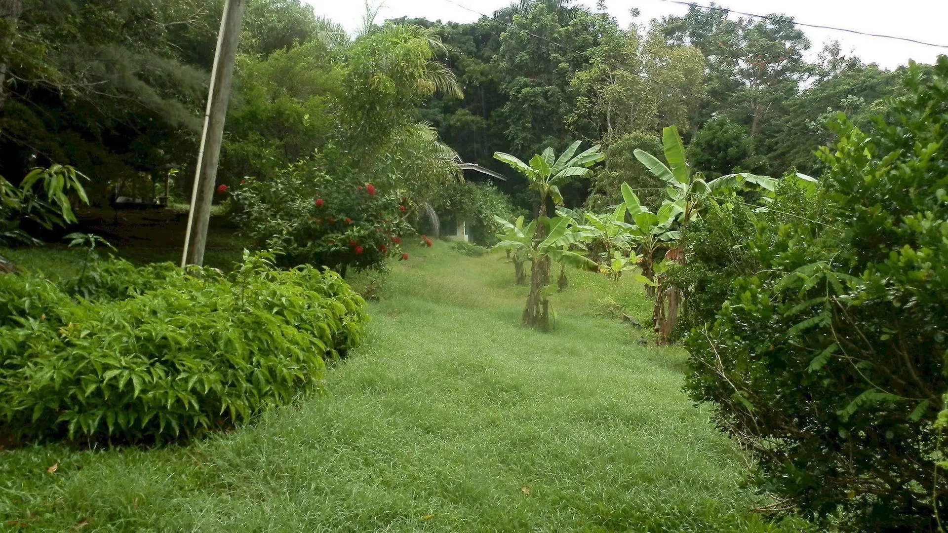 Harding Hall Hideaway Green Island 3*,